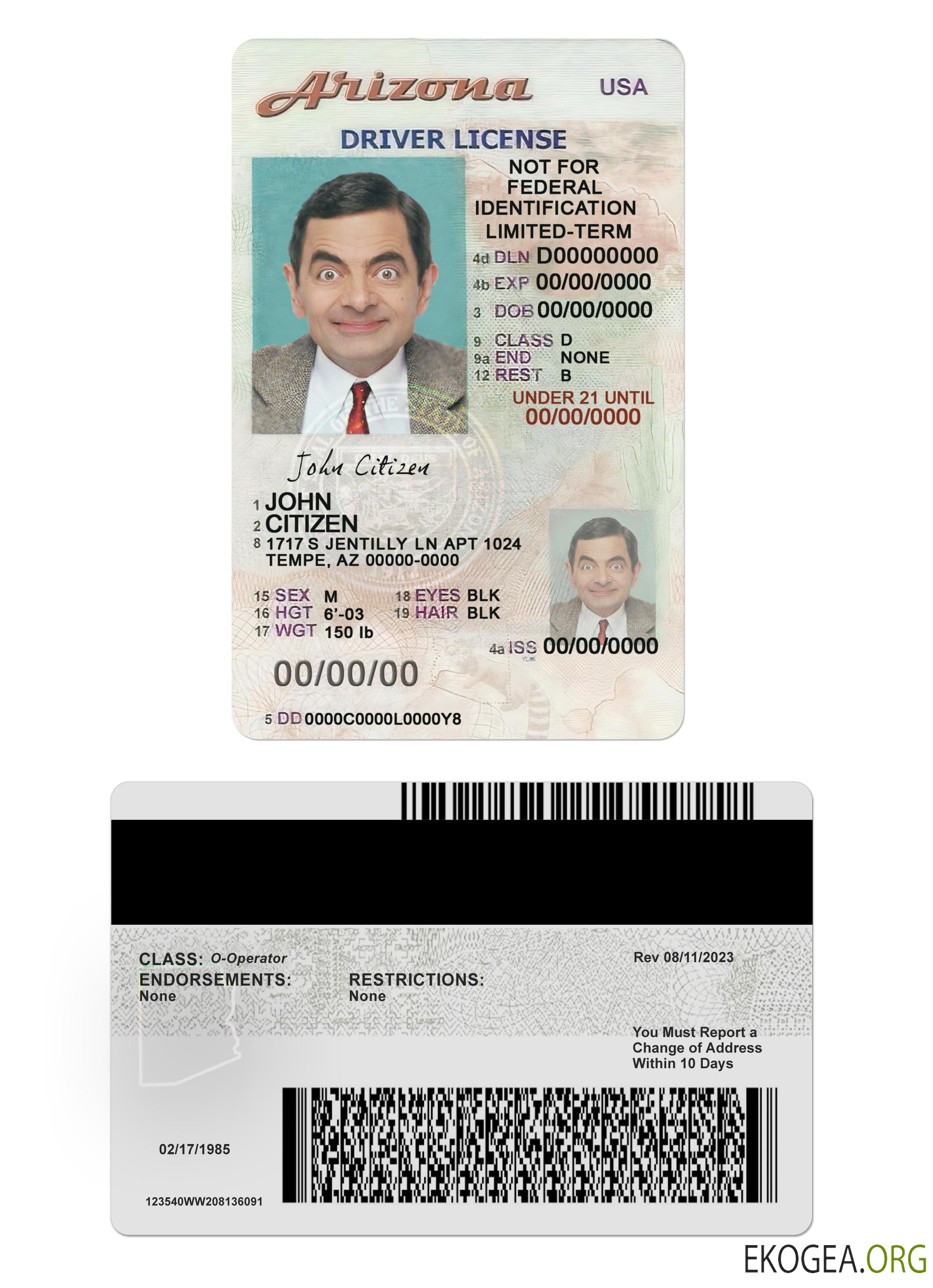 Usa Arizona driving license under 21 template